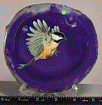 chickadee