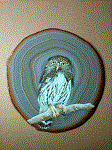 owl