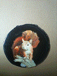squirrel